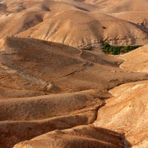 Judean desert landscape